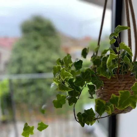 לינה וארוחת בוקר La Casa Di Ottavio 3*