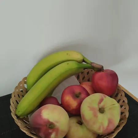 La Casa Di Ottavio Giaveno